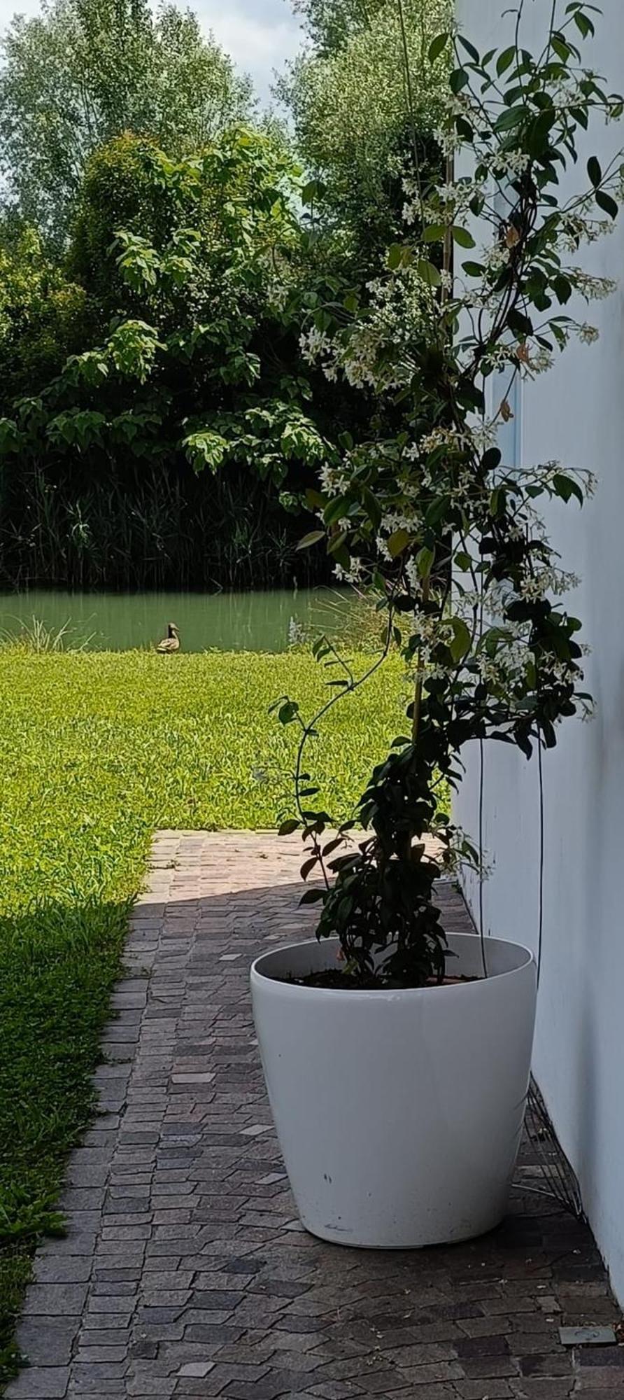 Locazione Riv'Al Sile Hotel Quinto Di Treviso Ngoại thất bức ảnh